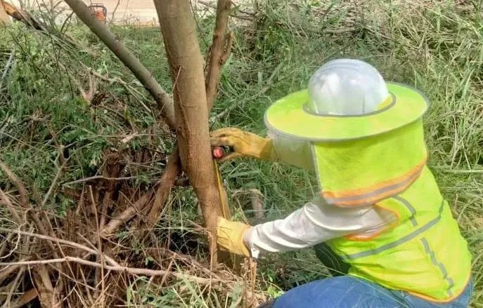 首页- 尊龙集团中国官方网站