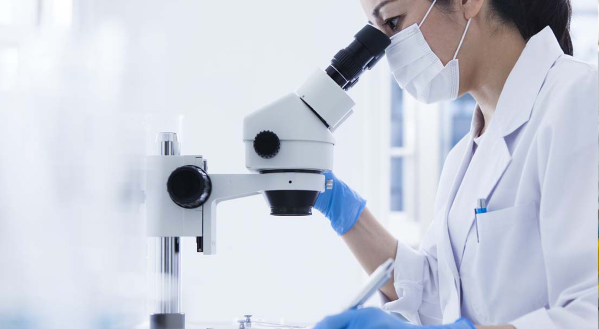 诸侯快讯(中国游)官方网站