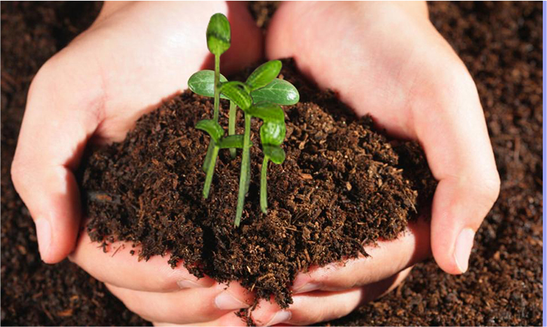 诸侯快讯(中国游)官方网站